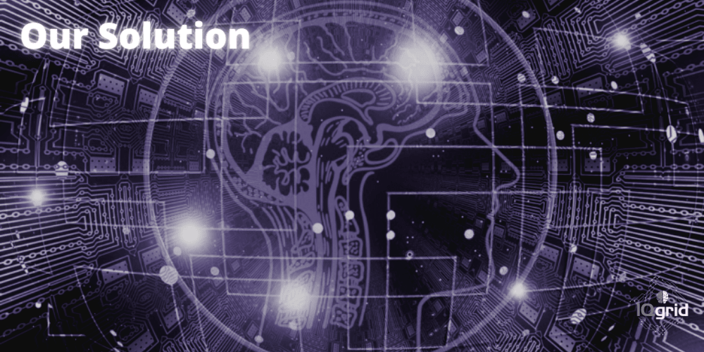 Ai I-Ecosystems Solutions